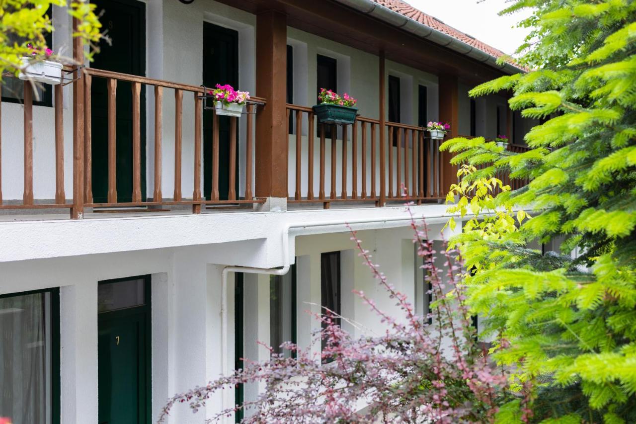 Pensiunea 7 Tei Cisnadioara Exterior photo
